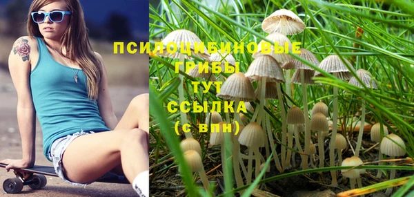 соль курить ск Алзамай