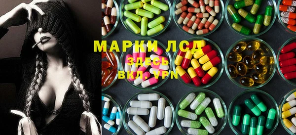 сатива Переславль-Залесский