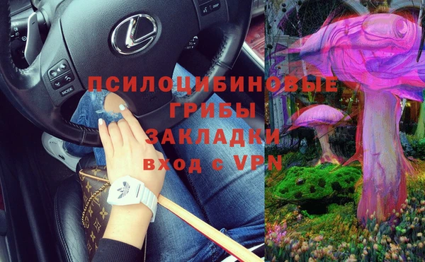соль курить ск Алзамай